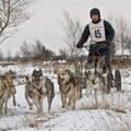 sledehonden trainingskamp Pampa Belgie
