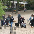 3e teckelwandeling