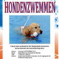 Hondenzwemmen - Zwembad de Biezem (Laren)