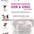 Hondenfotograaf bij Dier & Ding Nieuwegein