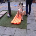 Workshop TTouch voor reis/wagenziekte