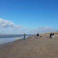 Tsjechoslowaaksewolfhonden wandeling Noordwijk