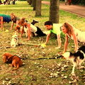 Who Let the Dogs Workout Open dag