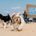 The Big Walk - Hulphond Nederland