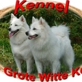 honden foto Snowy en Kelly