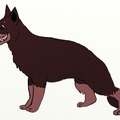 honden foto Duitse herder getekend of waar het ook op lijkt :)