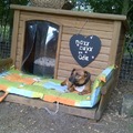 honden foto Dexx op wacht.