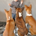 honden foto Ryan en de hondjes