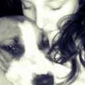 honden foto 