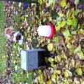 honden foto Eetbak + drinkemmer