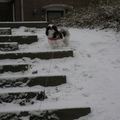 honden foto 15-1-2013