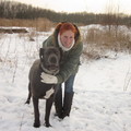 honden foto met Sjon in de sneeuw