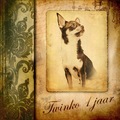 honden foto Fotoboek cover