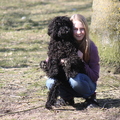 honden foto 