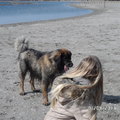 honden foto Ik en Sem op het strand- 1 april 2013