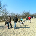 honden foto 