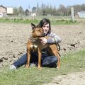 honden foto Kira <3