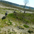 honden foto 