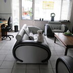 puppycursus