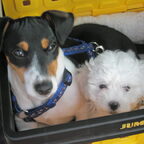 Luca en Nina