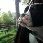 Onze boefjes!!