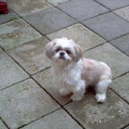 Zoe