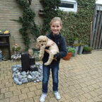 kinderen met honden