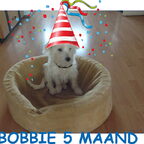 bobbie van jeanpaul