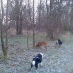 olli&zoon