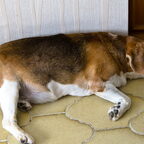 Dag Billy lieve vriend- welkom Mickey nieuwe maat.