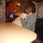 een nieuwe onverwachte pup,mijn lieve lara