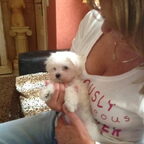 Maxie