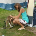 kamperen met boris