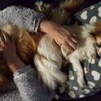 Lilly en Chanel worden vriendinnetjes