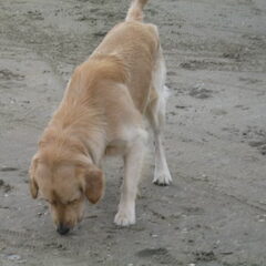 Voor het eerst op het strand...wat een feest!