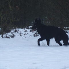 lekker spelen in de sneeuw