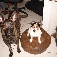 samen poseren