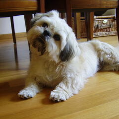 Dit is onze Fleur