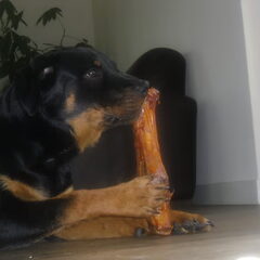 weer wat lekkers gekregen