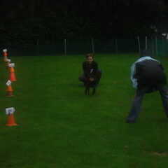Oefening hier komen bij het examen puppycursus