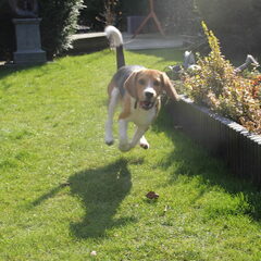 jump!