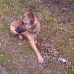 wat is dat daar???