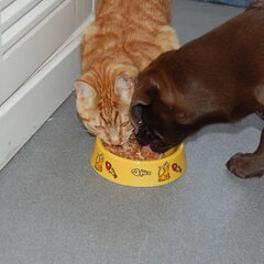 Joep en Eek!, mijn 2 schatjes :o)