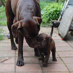 Joep met zijn moeder. Ubercute!!