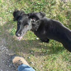 Ivy 4 maanden lekker wandelen