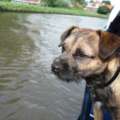 Matroos "Cooper" op zijn boot:-)