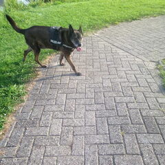 moro lekker in het park