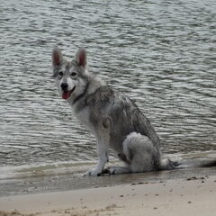 Heerlijk zo aan zee.