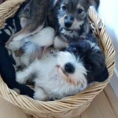Fien en Nina