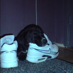 Diesel met mijn nikes..
